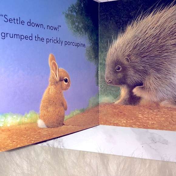 Little Bunny kids book - Picture 8 of 10